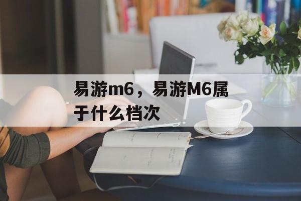 易游m6，易游M6属于什么档次